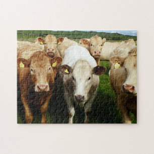 Bruine koeien Puzzle Legpuzzel