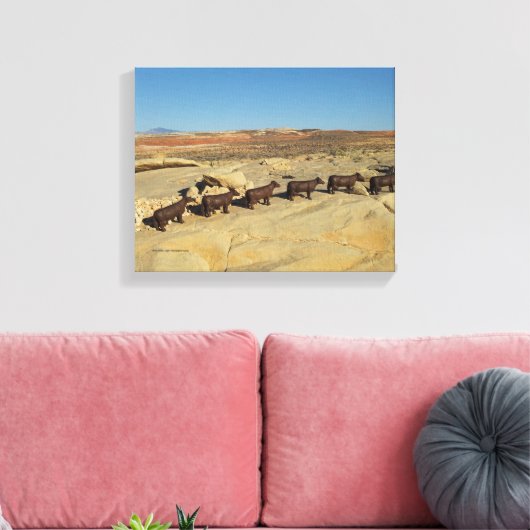 Bruine koeien wandelen in de woestijn canvas afdruk (Insitu (Woonkamer))