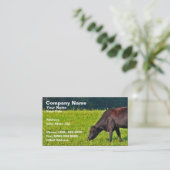 Bruine koeienvoer op gras visitekaartje (Staand voorkant)