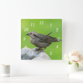 Bruine koeienvogel wandklok (Huis)
