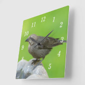 Bruine koeienvogel wandklok (Hoek)