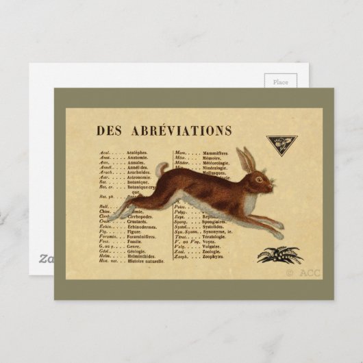 Bruine konijn briefkaart (Voorkant / Achterkant)