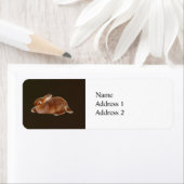 Bruine konijn etiket (Insitu)