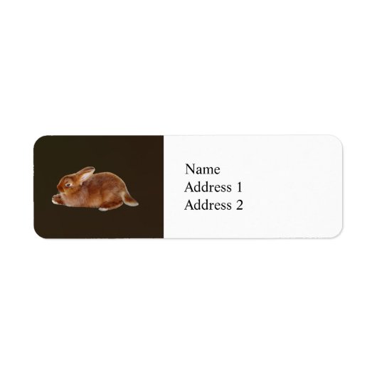 Bruine konijn etiket (Voorkant)