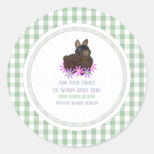 Bruine Konijn Madeliefje En Gingham Ronde Sticker (Voorkant)