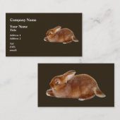 Bruine konijn visitekaartje (Voorkant / Achterkant)