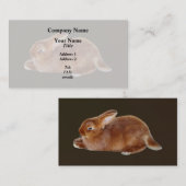 Bruine konijn visitekaartje (Voorkant / Achterkant)