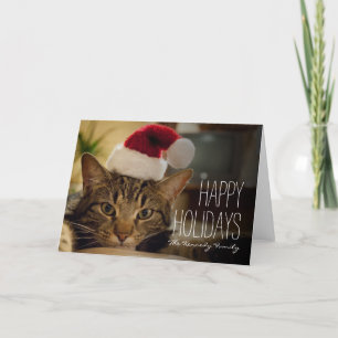Bruine, kortharige tabby kat feestdagen kaart