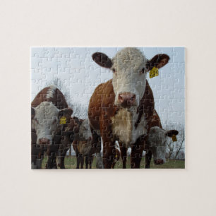 Bruine Kow Puzzle Legpuzzel