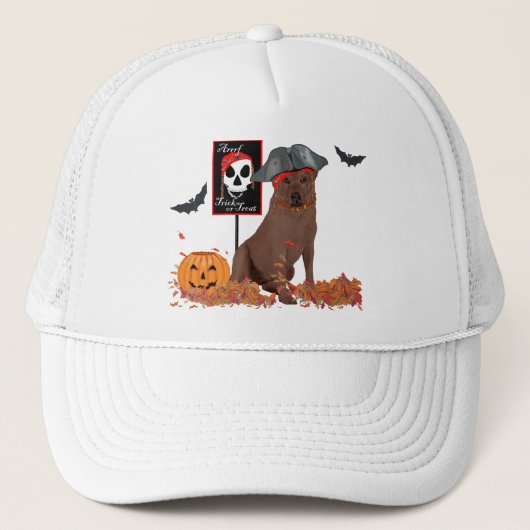 Bruine Labradoedel Piraat Trucker Pet (Voorkant)