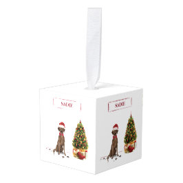 Bruine labrador Retriever Funny Kersthonk boom Decoratie