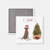 Bruine labrador Retriever Funny Kersthonk boom Magneet (Voorkant / Achterkant)