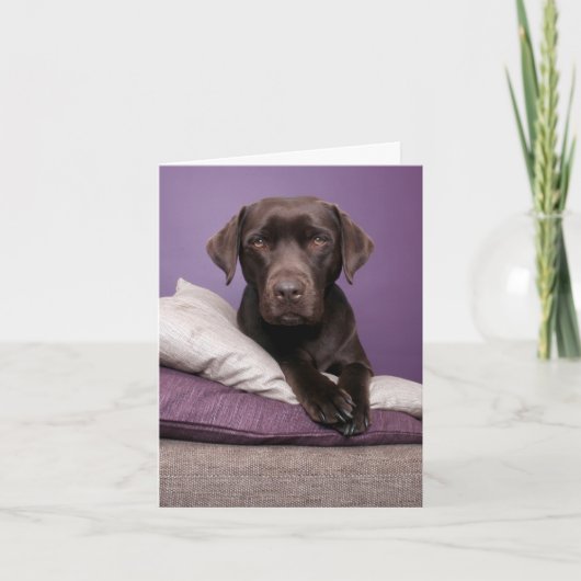 Bruine labrador Retriever Puppy Dog Blank Note Car Kaart (Voorkant)