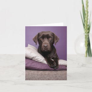 Bruine labrador Retriever Puppy Dog Blank Note Car Kaart