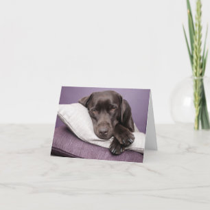 Bruine Labrador Retriever Puppy Dog Blank Note Kaa Kaart