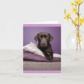 Bruine Labrador Retriever Puppy Dog Blank Note Kaa Kaart (Gele Bloem)