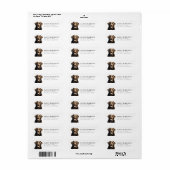 Bruine Labrador Retriever Retouradreslabels Etiket (Full Sheet)