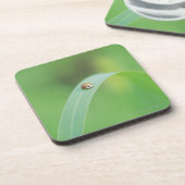 Bruine ladybug onderzetter (Linkerzijde)