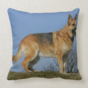 Bruine Langharige Duitse Herdershond 2 Kussen
