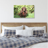 Bruine, langharige miniatuur Dachshund Canvas Afdruk (Insitu (Slaapkamer))