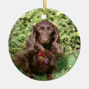 Bruine, langharige miniatuur Dachshund Keramisch Ornament