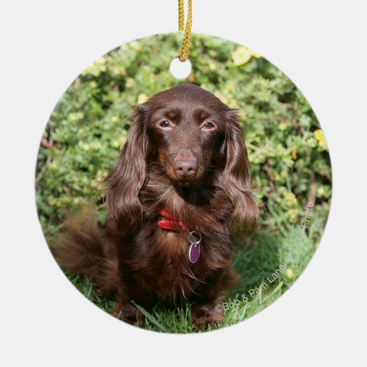 Bruine, langharige miniatuur Dachshund Keramisch Ornament (Voorkant)