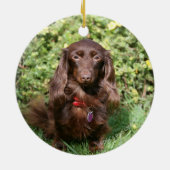 Bruine, langharige miniatuur Dachshund Keramisch Ornament (Achterkant)