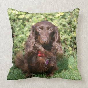 Bruine, langharige miniatuur Dachshund Kussen