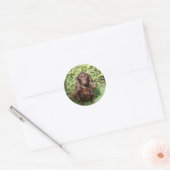Bruine, langharige miniatuur Dachshund Ronde Sticker (Envelop)