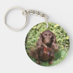 Bruine, langharige miniatuur Dachshund Sleutelhanger