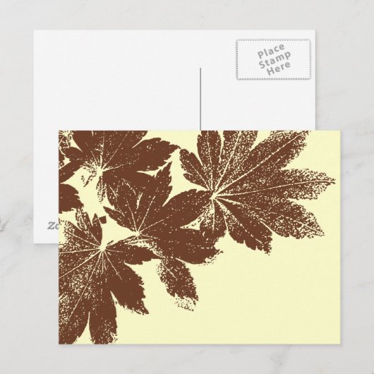 Bruine lepelmoes briefkaart (Voorkant / Achterkant)