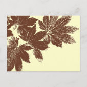 Bruine lepelmoes briefkaart (Voorkant)