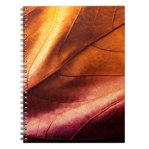 Bruine leren textuurleer,abstract,antiek,achterkan notitieboek