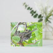 Bruine luiaards briefkaart (Staand voorkant)