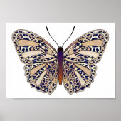Bruine luipspillen - Poster van vlinder (Voorkant)