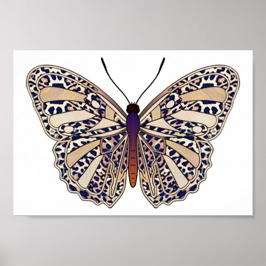 Bruine luipspillen - Poster van vlinder (Voorkant)