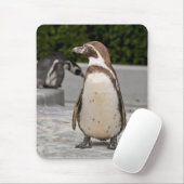 Bruine Magelhaes Pinguïn Muismat (Met muis)