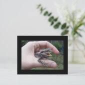 Bruine marlijn briefkaart (Staand voorkant)