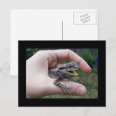 Bruine marlijn briefkaart (Voorkant / Achterkant)