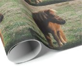 bruine minipaarden cadeaupapier (Rol Hoek)
