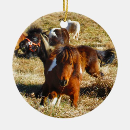 Bruine minipaarden die rijden keramisch ornament (Voorkant)