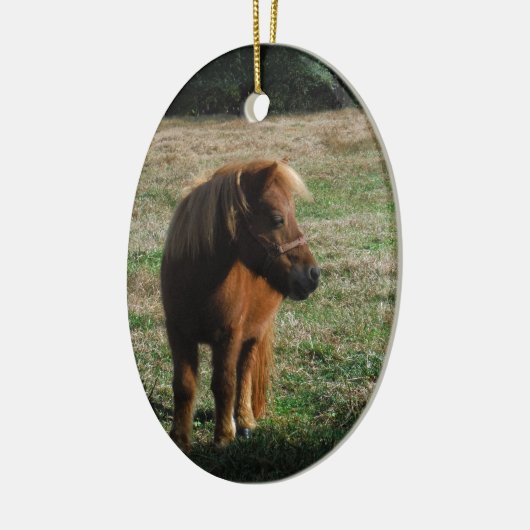 bruine minipaarden keramisch ornament (Links)
