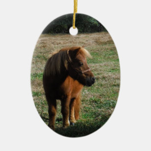 bruine minipaarden keramisch ornament