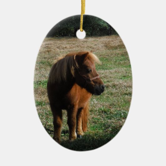 bruine minipaarden keramisch ornament (Voorkant)