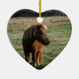 bruine minipaarden keramisch ornament