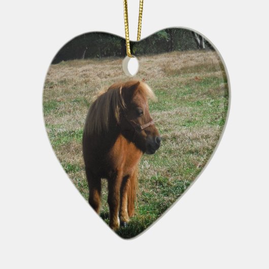 bruine minipaarden keramisch ornament (Links)