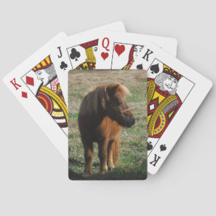 bruine minipaarden pokerkaarten