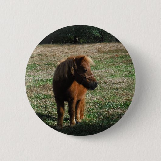 bruine minipaarden ronde button 5,7 cm (Voorkant)