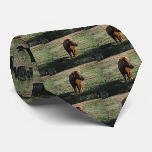 bruine minipaarden stropdas (Opgerold)