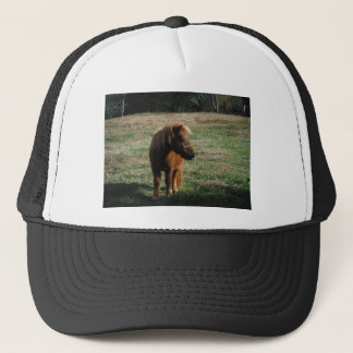 bruine minipaarden trucker pet